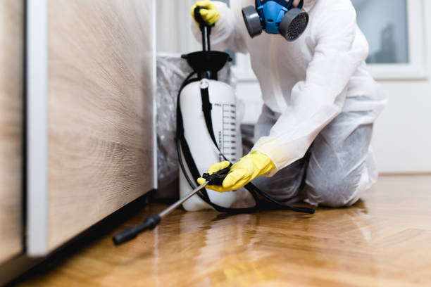 Best Affordable Pest Control Services  in Upper Arlington, OH