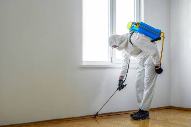 Best Affordable Pest Control Services  in Upper Arlington, OH