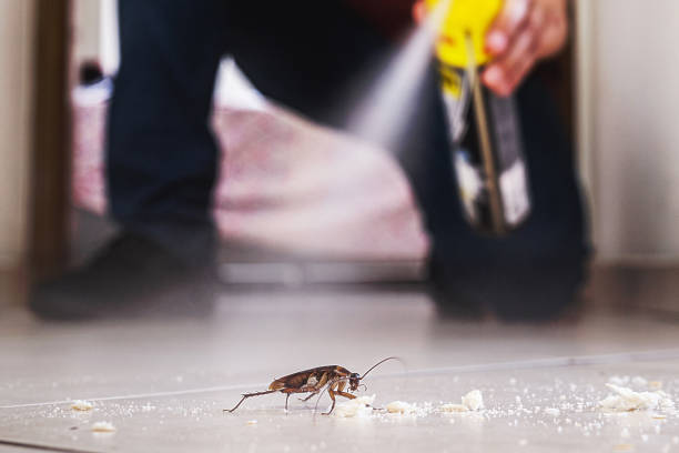 Best Pest Control for Businesses  in Upper Arlington, OH